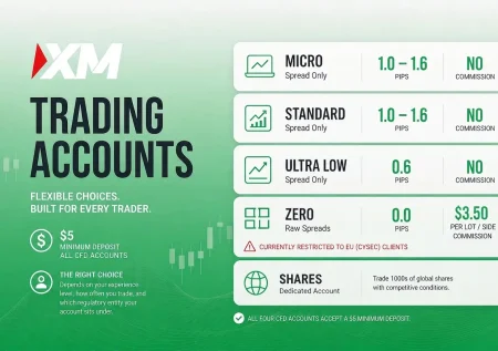 XM Account Types Explained