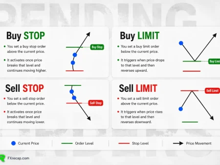 Types of Forex Orders Explained