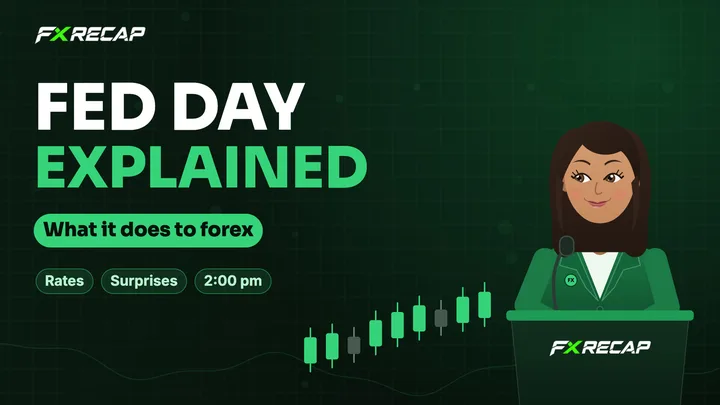What a Fed Decision Does to Forex video